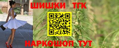 индика Ирбит