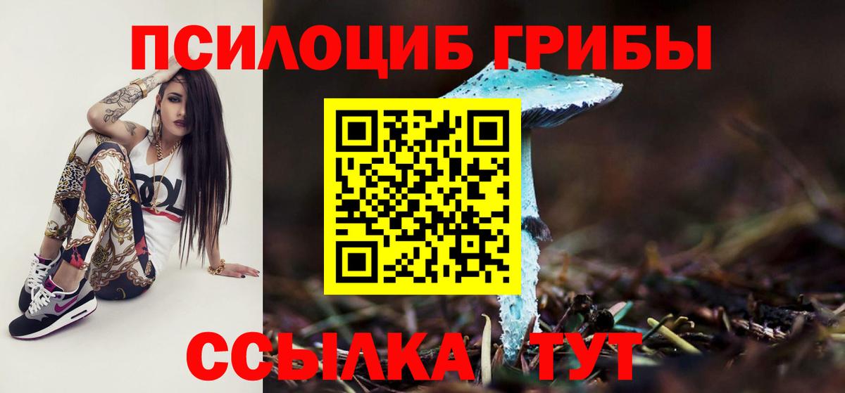 Лесосибирск  Галлюциногенные грибы Psilocybine cubensis  Вход с VPN 